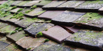 Fancott roof repair costs
